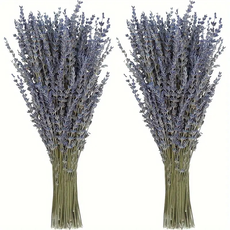 Dried Flower Bunch - 200pcs/Bunch 라벤더 말린 꽃 홈 거실