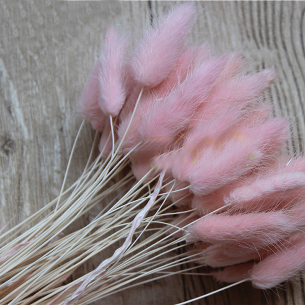 50pcs 말린 자연 꽃 꽃다발 핑크 컬러 Laguru - Dried Flower Bunch 리뷰 및 가격