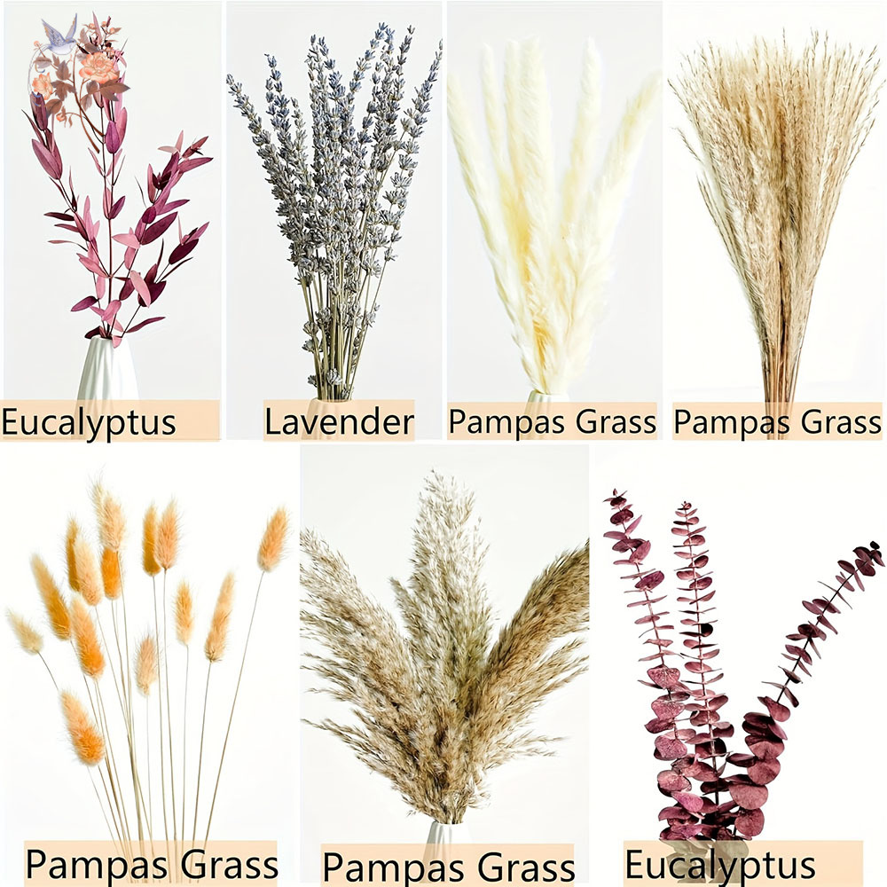 75PCS 말린 팜파스 유칼립투스 잎 꽃 꽃다발 오렌지 - Dried Flower Bunch 리뷰 및 가격