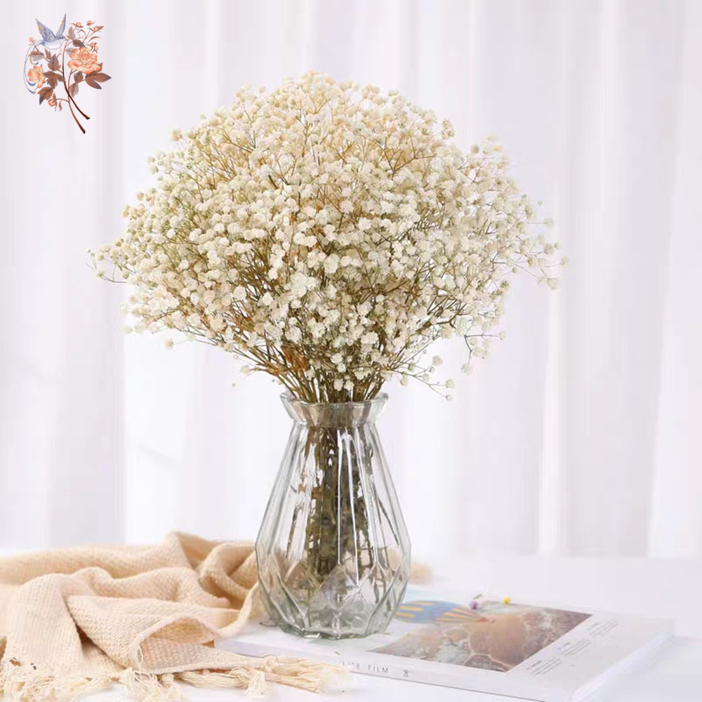 60g 말린 아기 호흡 꽃 꽃다발 자연 마른 꽃 Gyp - Dried Flower Bunch 리뷰 및 가격